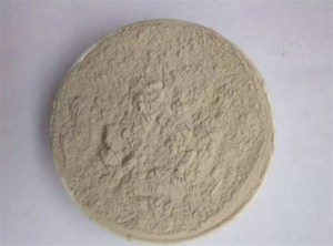 refractory cement