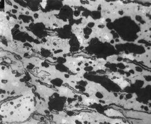 Figure 5 Microstructure of semi-cordierite extruded into pyrophyllite