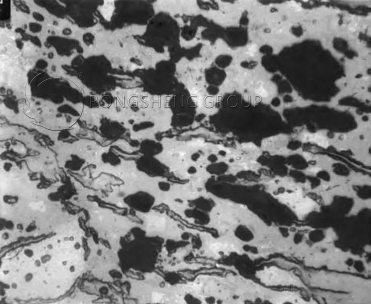 Figure 5 Microstructure of semi-cordierite extruded into pyrophyllite