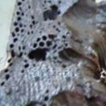 Alumina Ceramic Roller Ceramic Tube Alumina Ceramic Rod